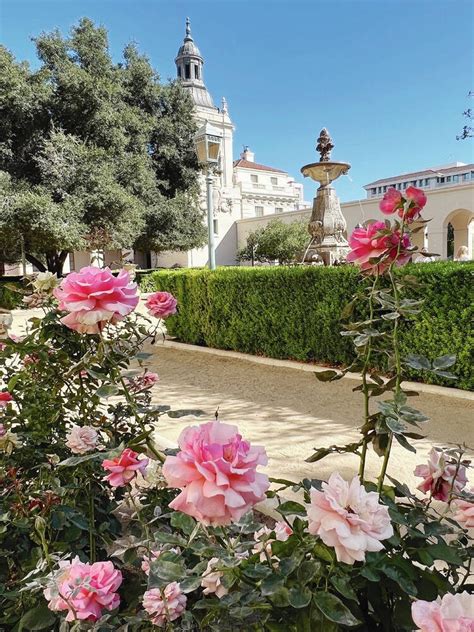 Pasadena: Art and culture bloom in California’s City of Roses .